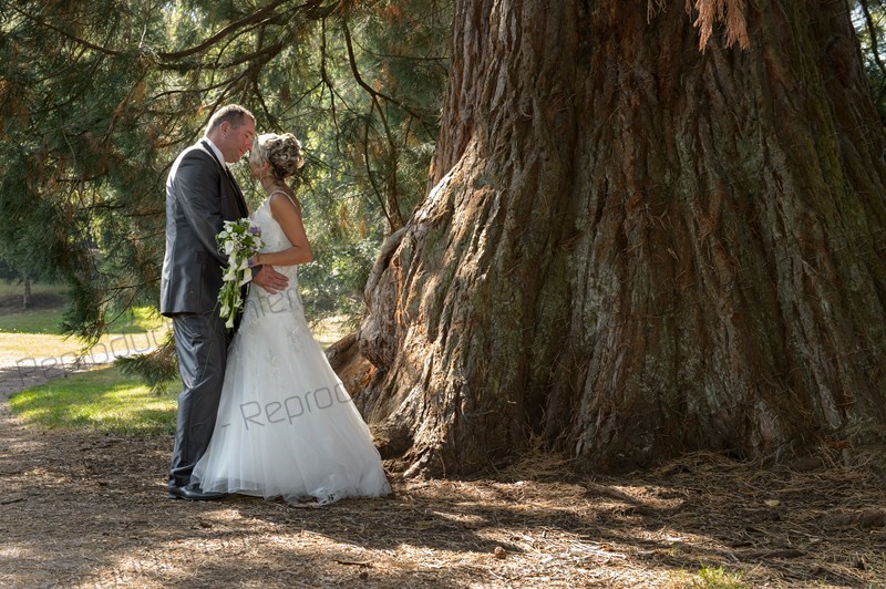 Photographe mariage vosges 88