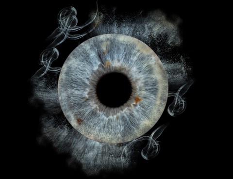 Photographe de mariage